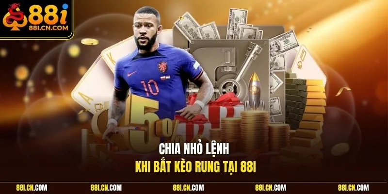 Chia nhỏ lệnh khi bắt kèo rung tại 88I