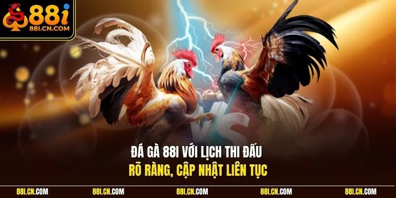 Đá gà 88I với lịch thi đấu rõ ràng, cập nhật liên tục