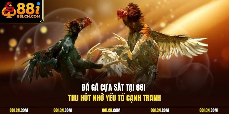 Đá gà cựa sắt tại 88I thu hút nhờ yếu tố cạnh tranh