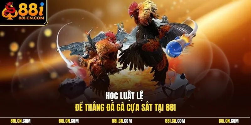 Học luật lệ để thắng đá gà cựa sắt tại 88I